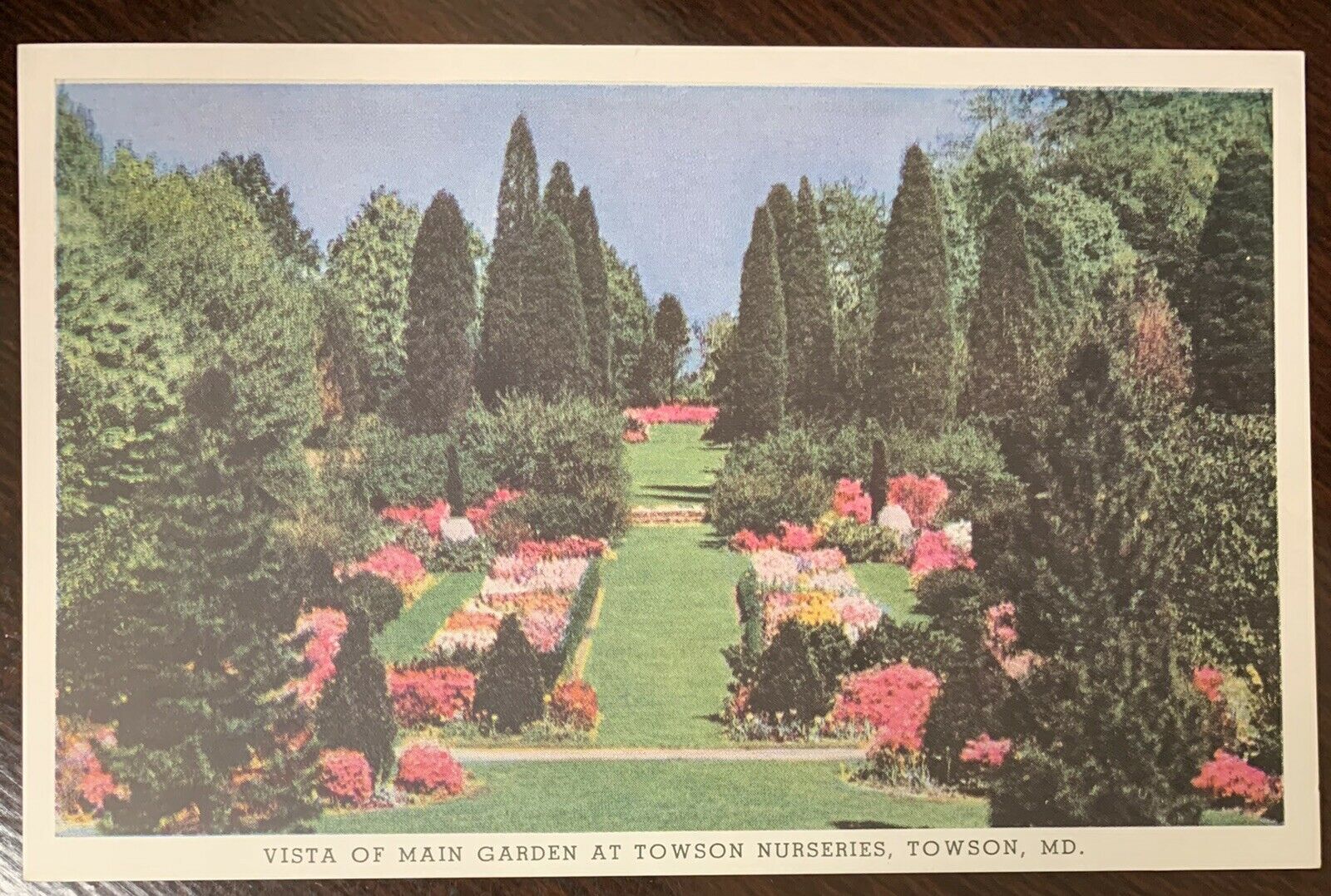 Vista Of Main Garden At Towson Nurseries Towson Maryland Postcard